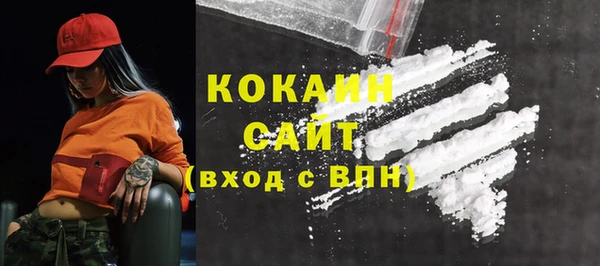 ешки Горняк