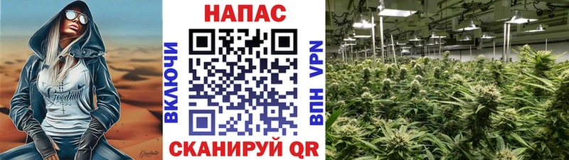 Канабис SATIVA & INDICA  наркошоп  Данков 